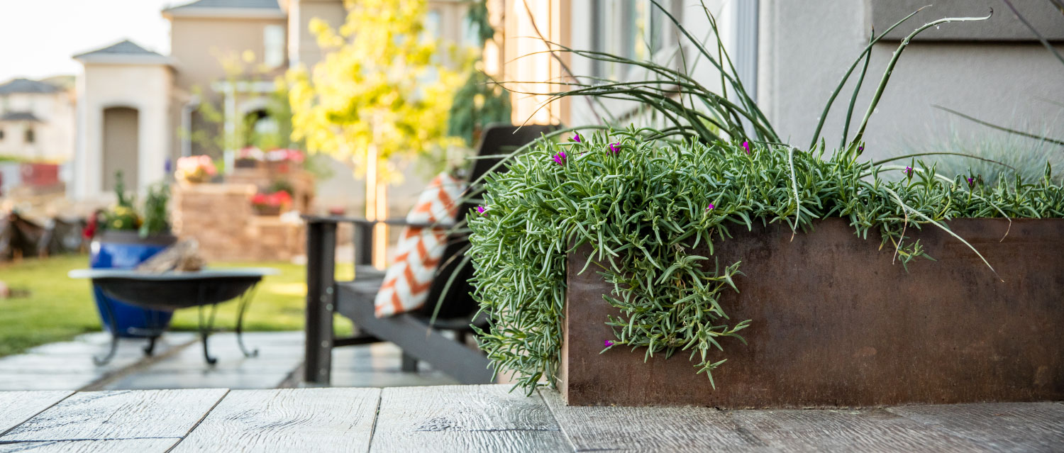 esthetic patio landscaping