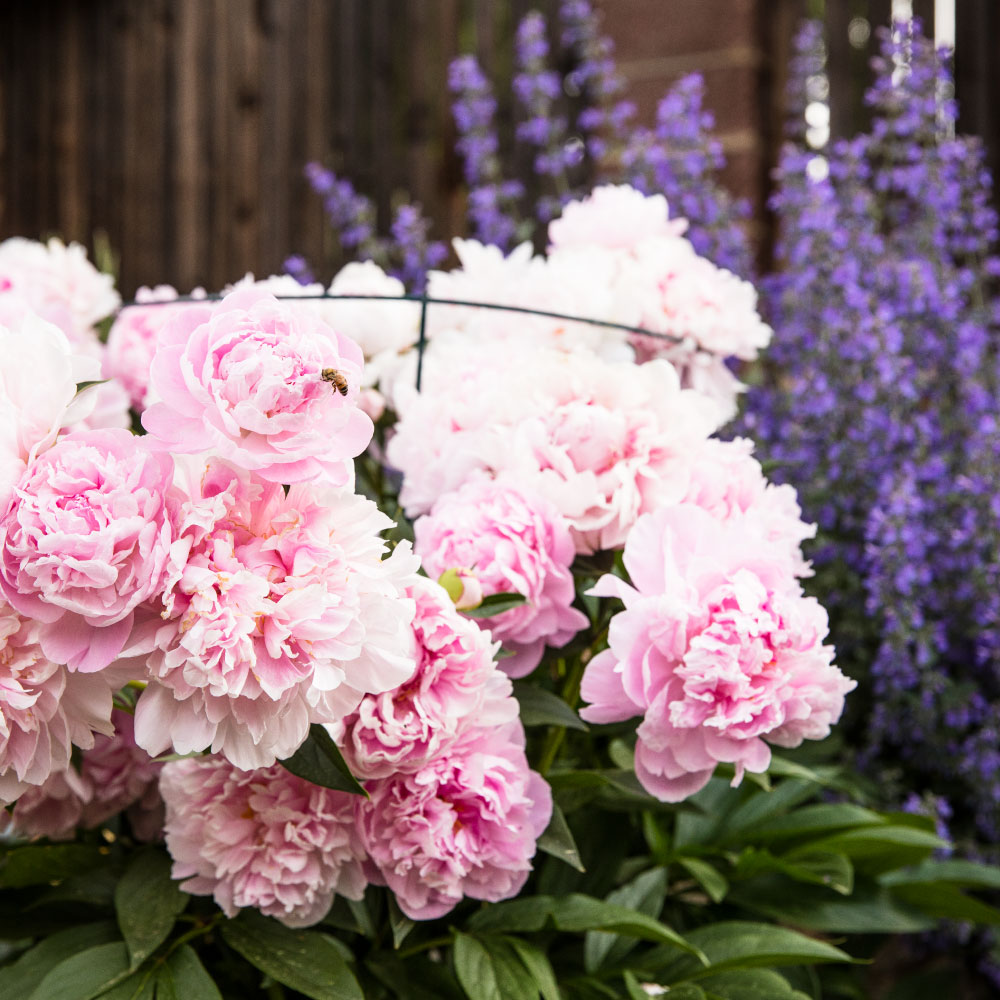 best landscapers Colorado