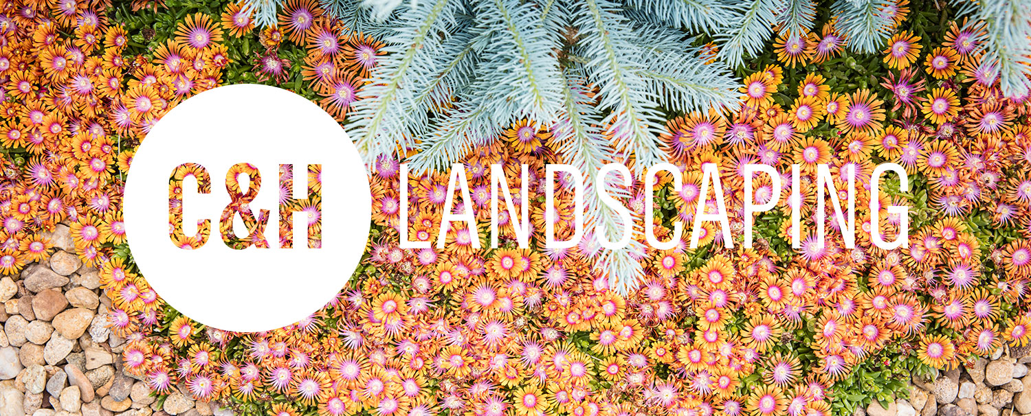 C&H Landscaping C&H Landscaping