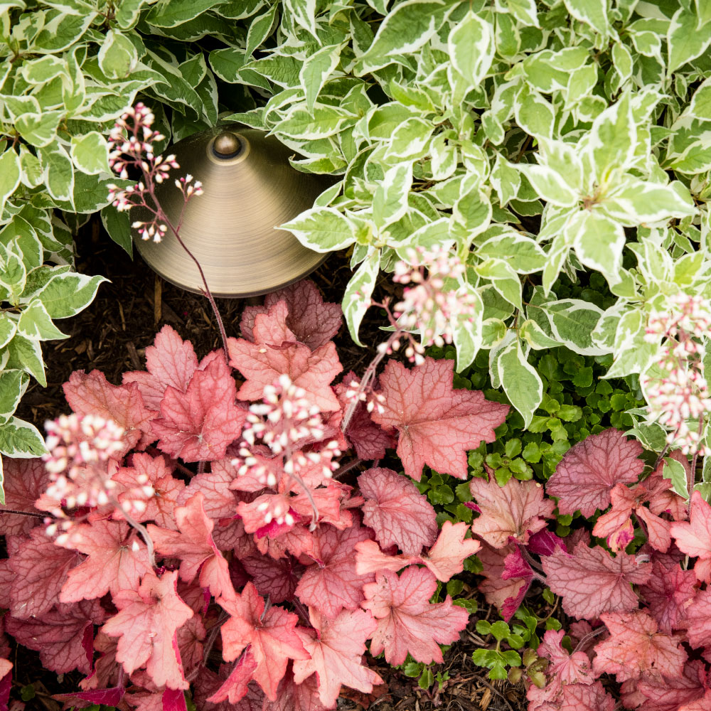 courtyard landscaping