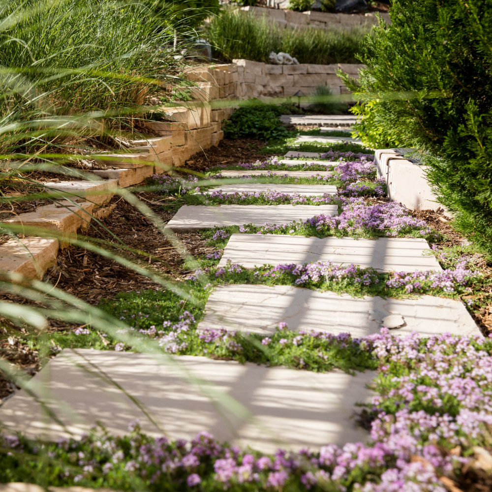 courtyard paver walkway