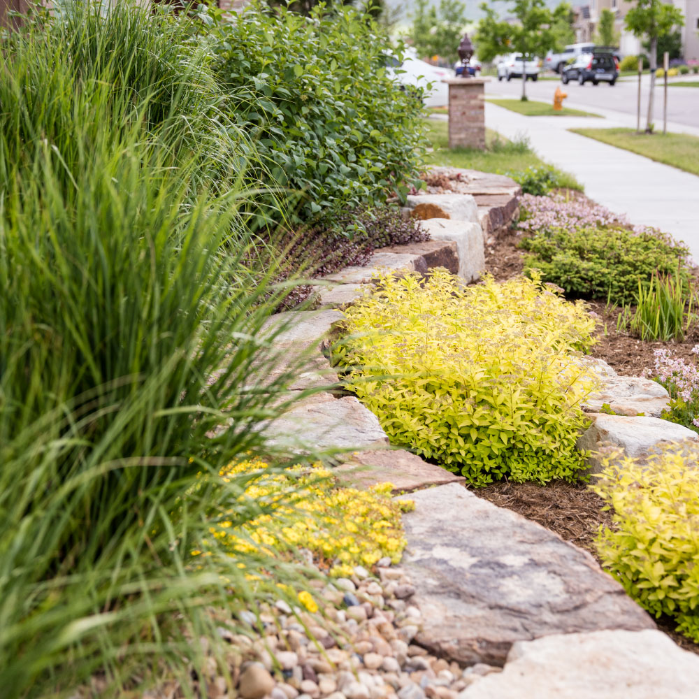 home landscaping near me