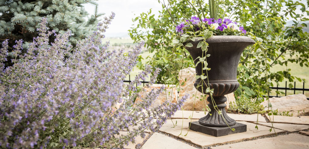 landscaping company red rocks amphitheater 