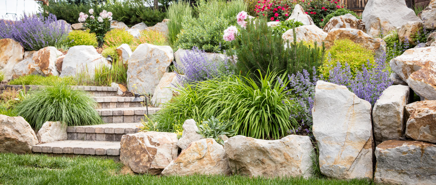 native colorado plant landscaping ideas