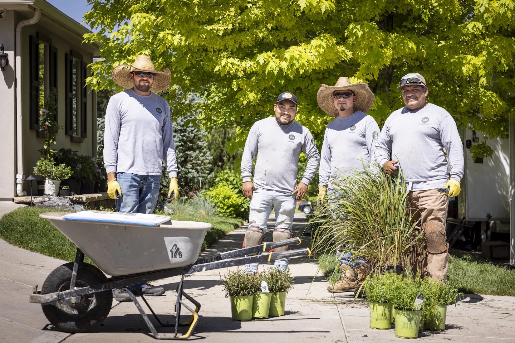 landscape-maintenance-services landscape maintenance services