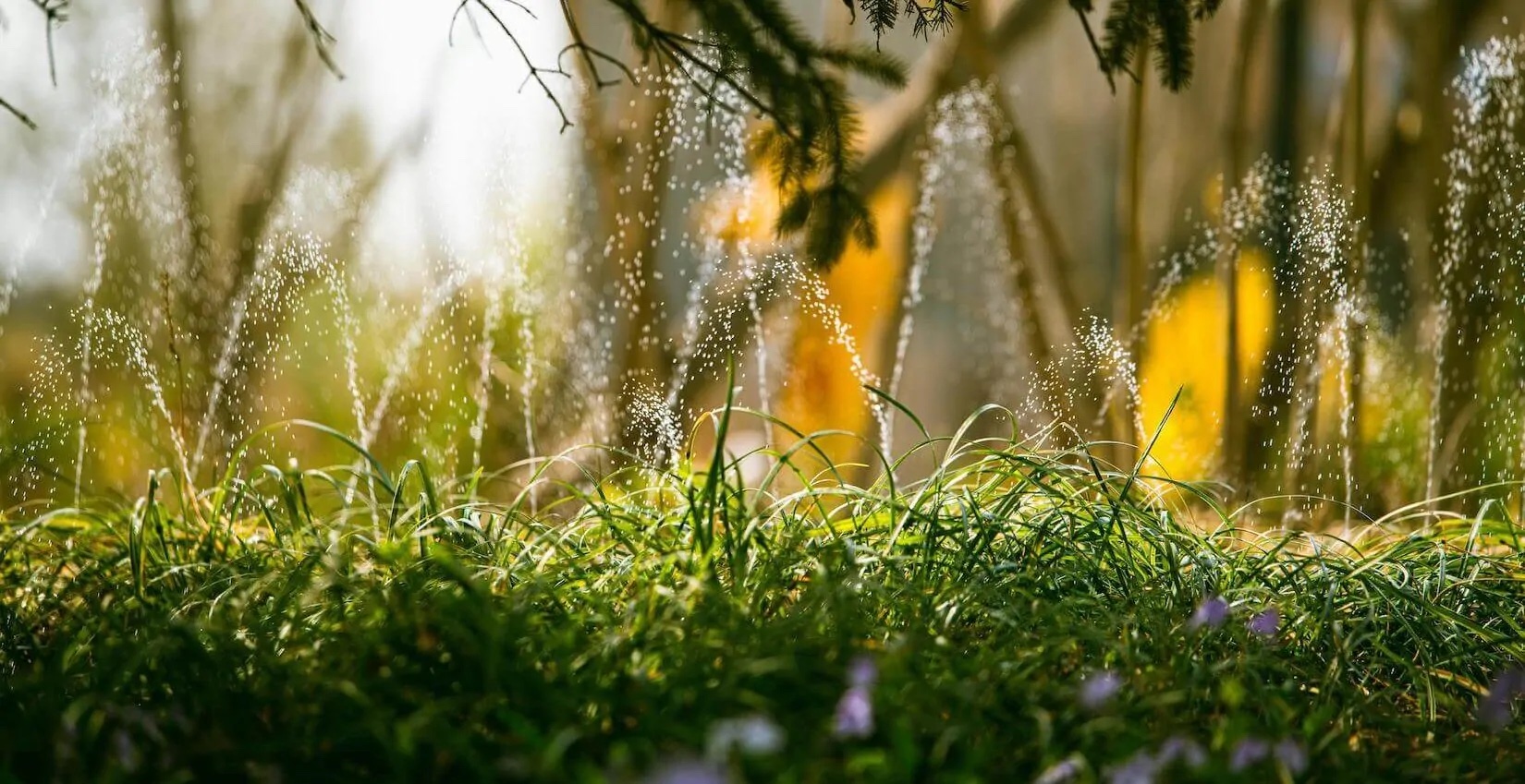 smart-irrigation-systems smart irrigation systems